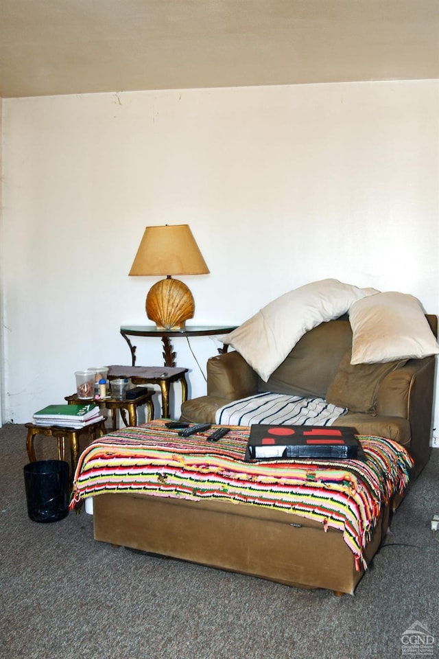 bedroom featuring carpet floors