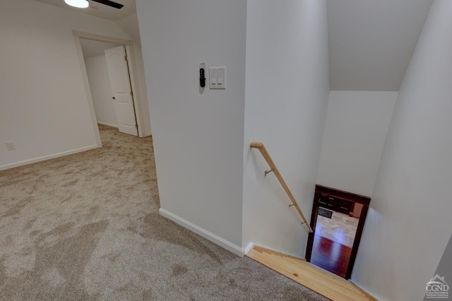 stairway with carpet flooring