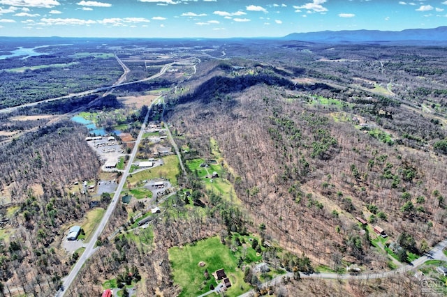 birds eye view of property featuring a mountain view