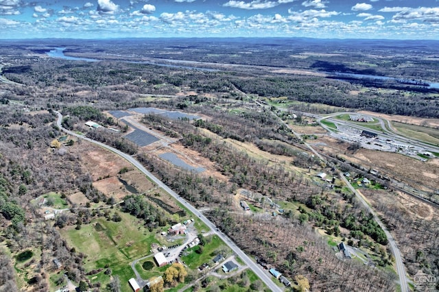 drone / aerial view