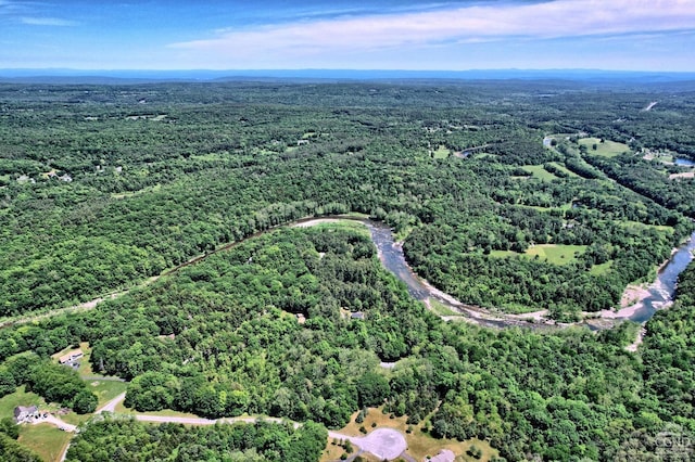 bird's eye view with a forest view