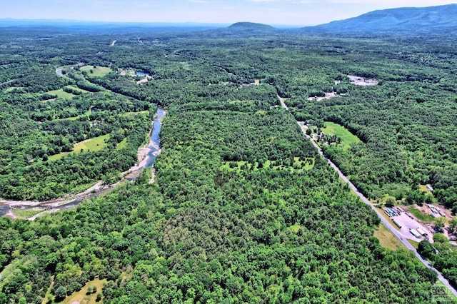 bird's eye view featuring a mountain view and a view of trees