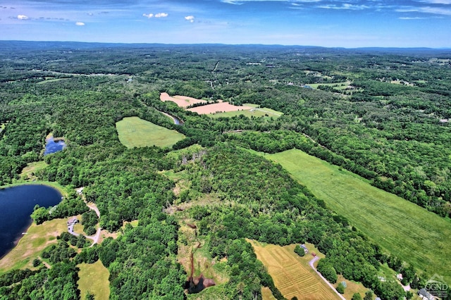 aerial view with a water view and a view of trees