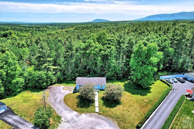 drone / aerial view featuring a mountain view and a view of trees