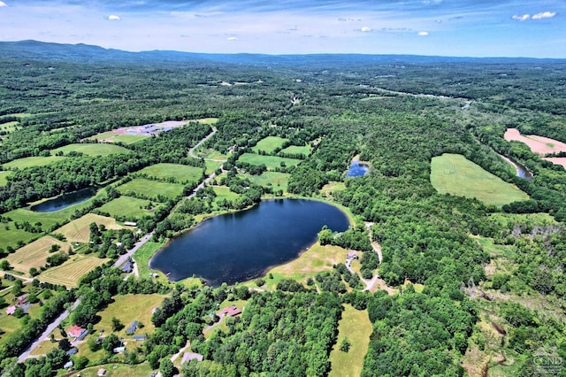 drone / aerial view with a water view and a view of trees