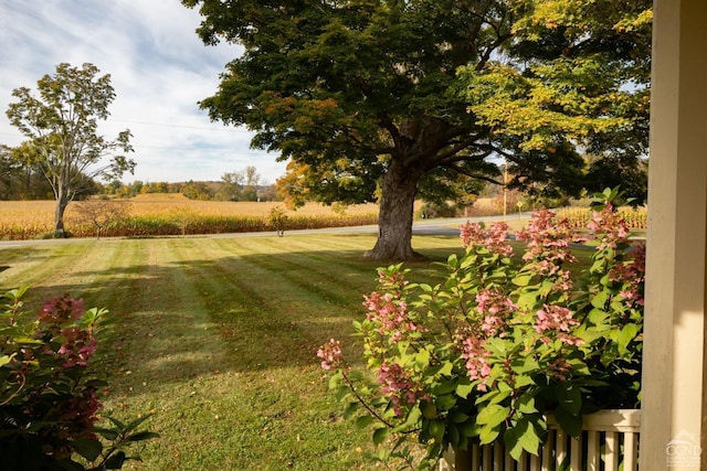 view of yard with a rural view