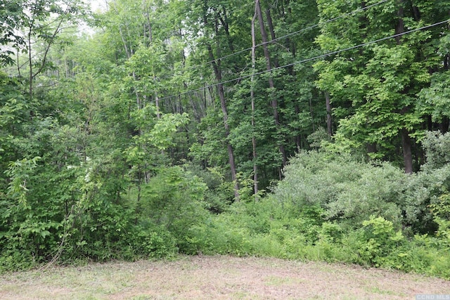 Listing photo 3 for 0 Rte 82, Gallatin NY 12567