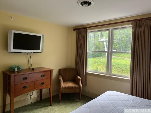 carpeted bedroom with multiple windows