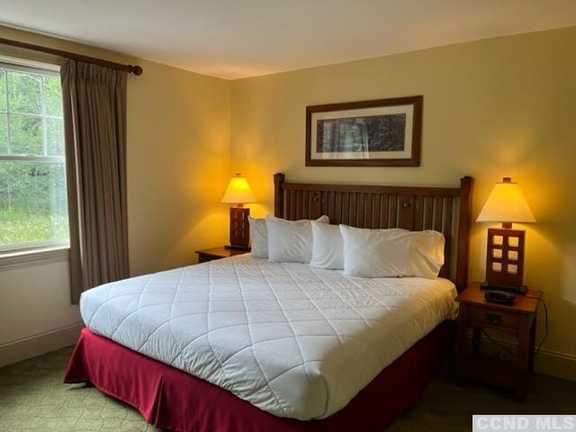 bedroom featuring carpet floors