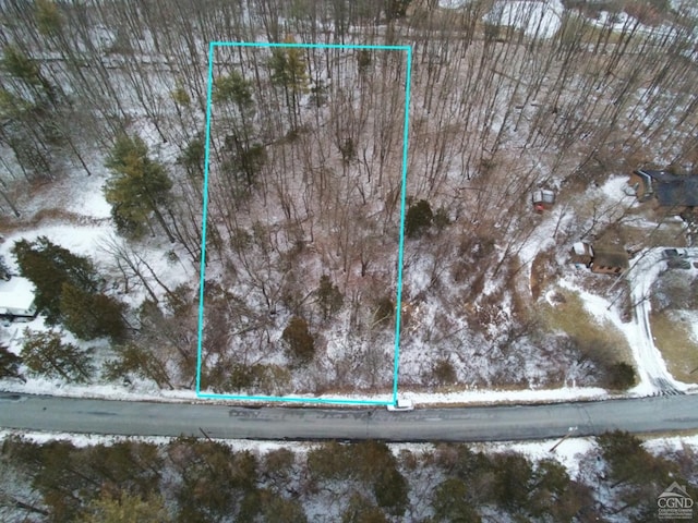 390 Vosenkill Rd, Athens NY, 12015 land for sale