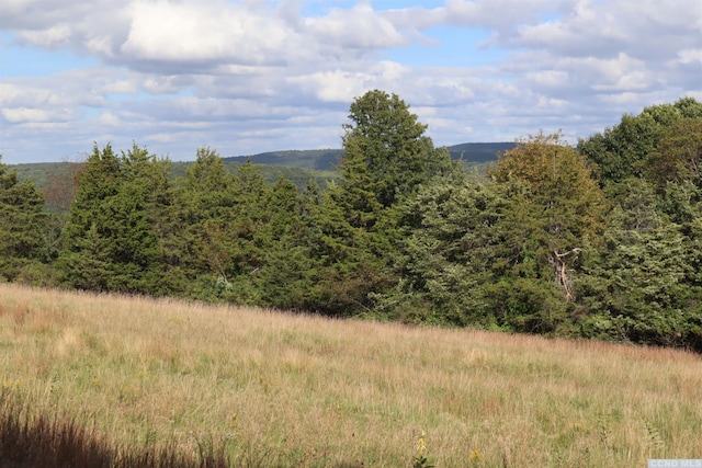 0 Fitzsimmons Rd, Milan NY, 12571 land for sale