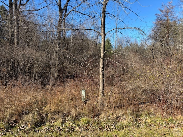 1206 Sleepy Hollow Rd, Coxsackie NY, 12051 land for sale