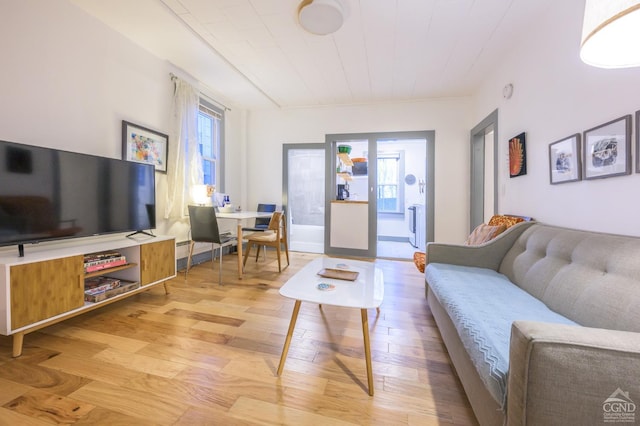 living area with light wood-type flooring