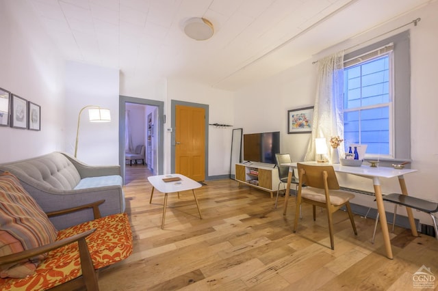 living room with light wood-style floors