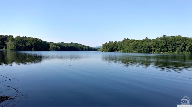 view of water feature