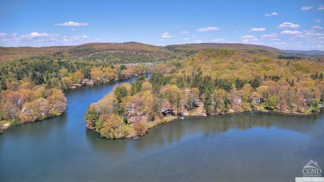 bird's eye view featuring a water and mountain view