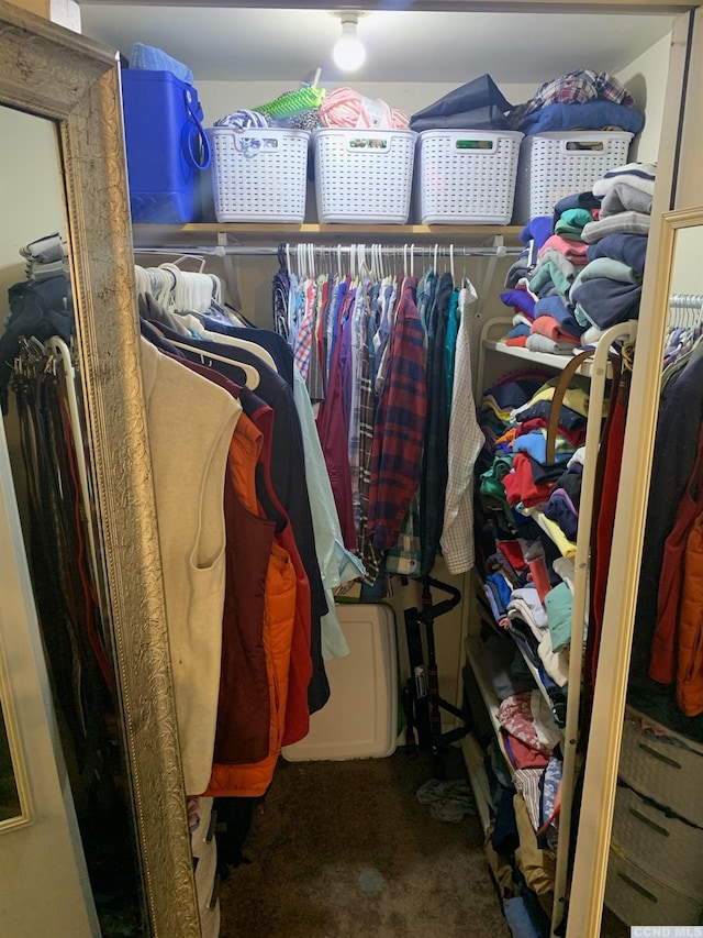 spacious closet featuring carpet