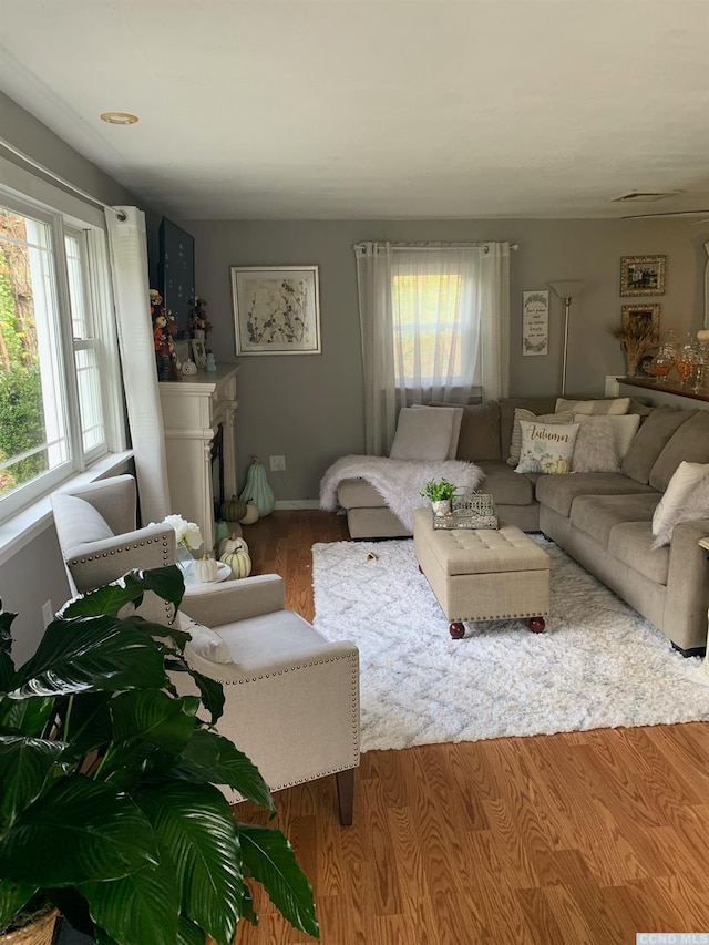 living room featuring hardwood / wood-style flooring