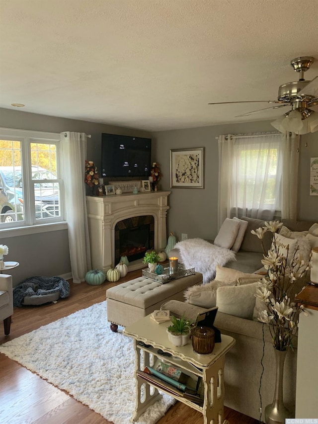 living room featuring ceiling fan, hardwood / wood-style floors, and a textured ceiling