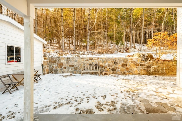 view of yard covered in snow