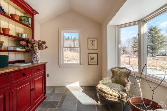 sitting room featuring lofted ceiling