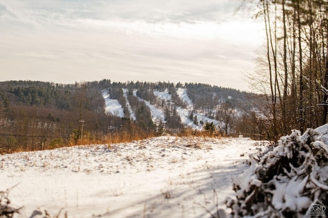 view of snow covered land