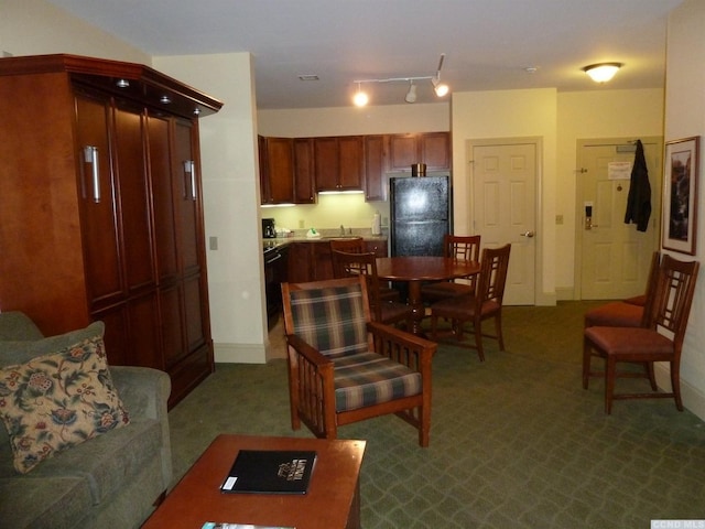 carpeted living room with sink