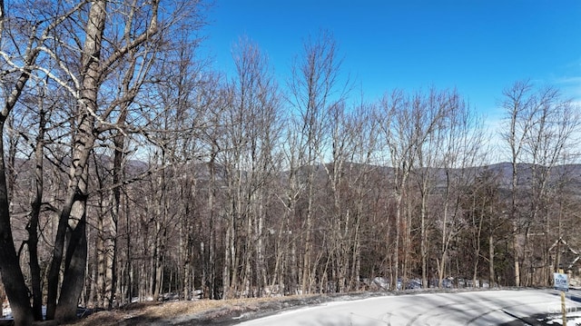 Listing photo 2 for 0 Club Rd, Windham NY 12496