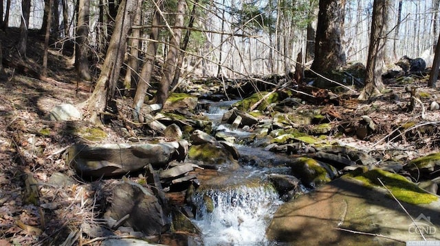 view of nature