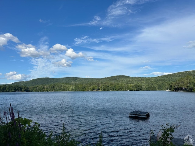 water view featuring a dock