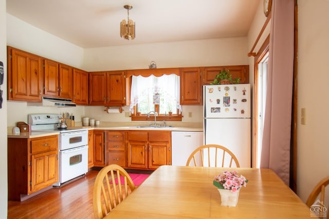 kitchen with light wood-type flooring, white appliances, decorative light fixtures, and sink