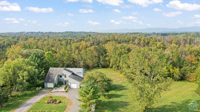 drone / aerial view featuring a mountain view