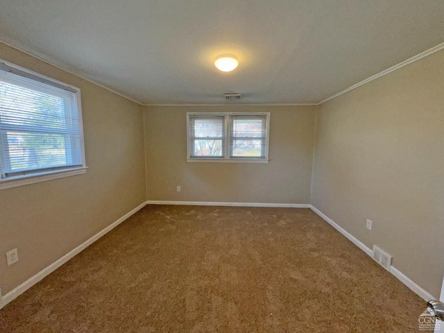 empty room featuring carpet floors and ornamental molding