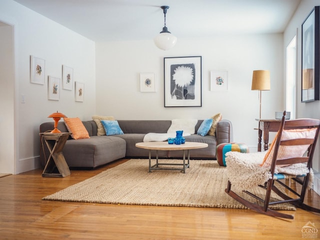 living room with wood-type flooring