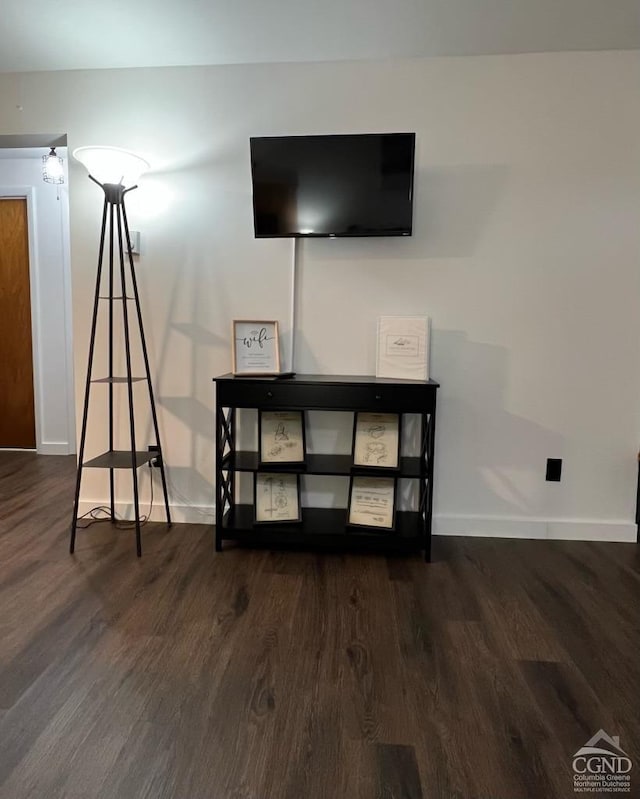 room details featuring hardwood / wood-style flooring