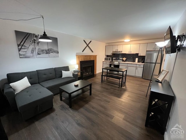 living room featuring dark hardwood / wood-style flooring