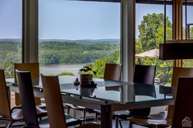 dining space featuring a water view and a forest view