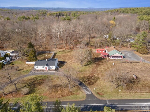 58065816 Rte 23, Cairo, NY 12405 - photo 26
