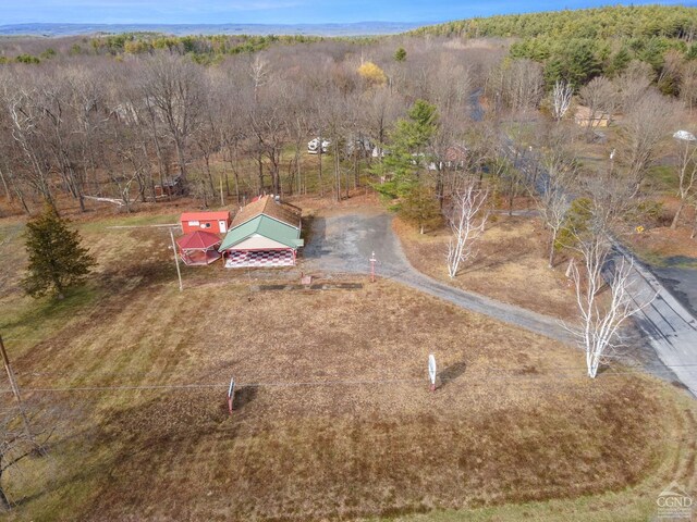 58065816 Rte 23, Cairo, NY 12405 - photo 49