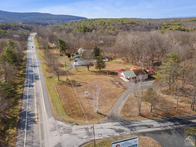 58065816 Rte 23, Cairo, NY 12405 - photo 53