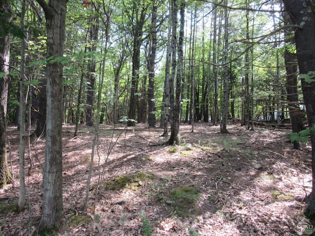 0 Lakeview Rd, East Durham NY, 12423 land for sale