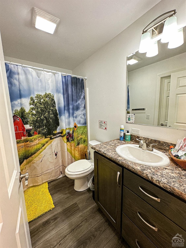 bathroom featuring wood-type flooring, vanity, and toilet