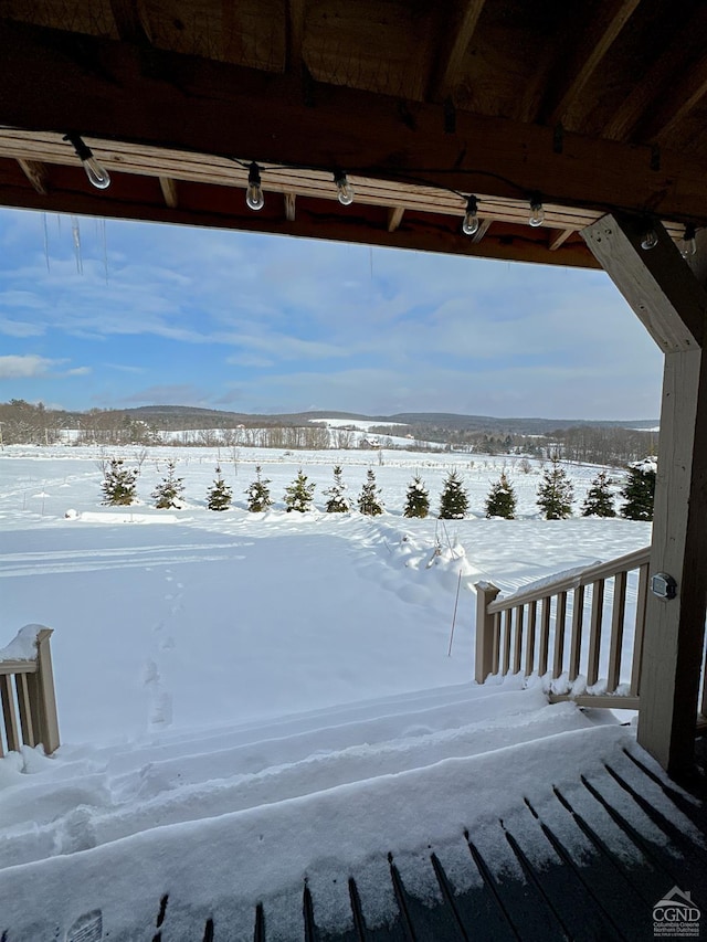 view of yard covered in snow