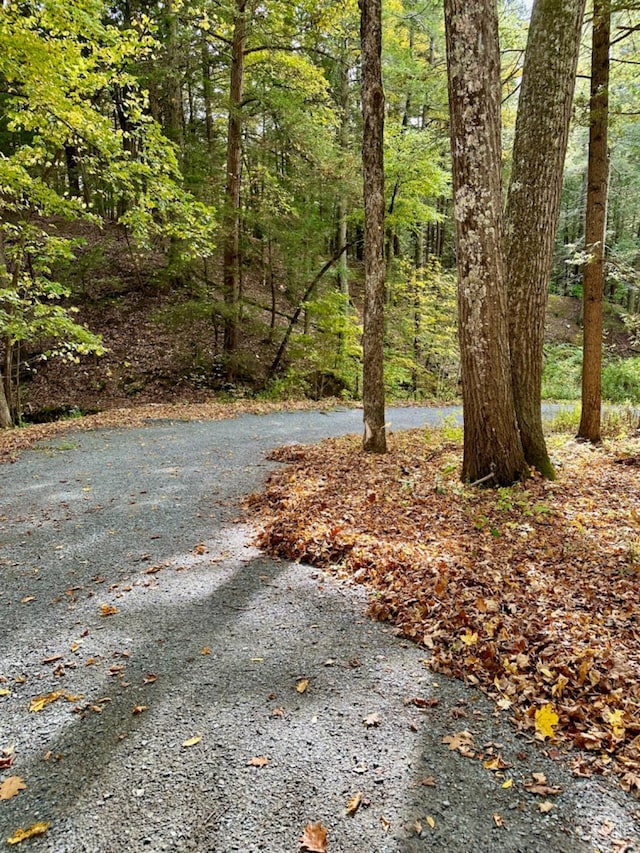 view of road