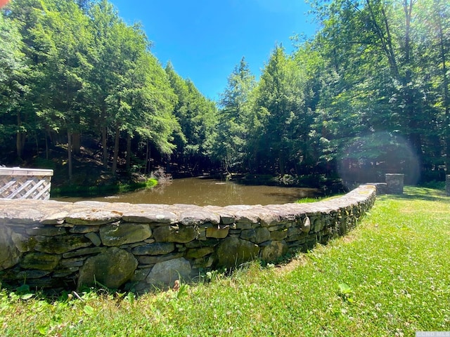 view of yard with a water view