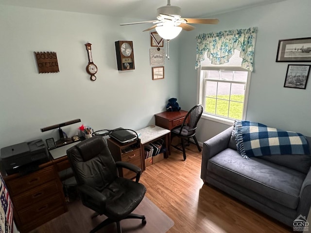 home office featuring ceiling fan and light hardwood / wood-style flooring