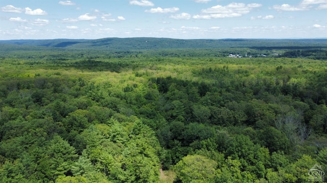 0 Vernal Butler Rd, Cairo NY, 12413 land for sale