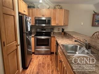 kitchen with light brown cabinetry, light hardwood / wood-style flooring, stainless steel appliances, and sink