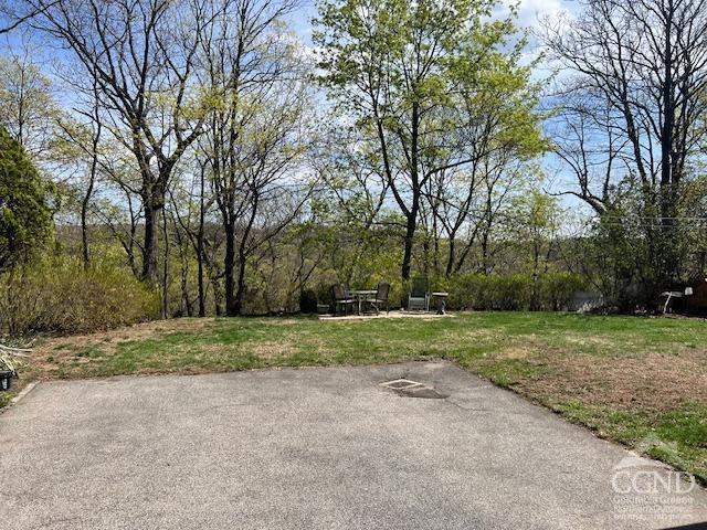 view of yard with a patio area