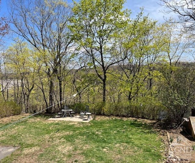 view of yard featuring a patio